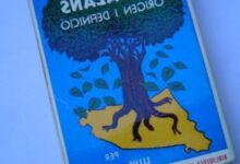 Cómo se Originan los Nombres: La Fascinante Historia Detrás de las Identidades Personales como-se-originan-los-nombres-la-fascinante-historia-detras-de-las-identidades-personales