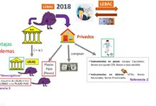 Descubre el Fascinante Mundo de las Leliqs: ¿Cómo Surgen y Cómo Funcionan? descubre-el-fascinante-mundo-de-las-leliqs-como-surgen-y-como-funcionan