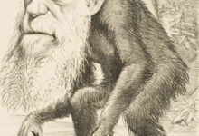 El Origen de nuestra especie: Cómo surgieron los seres humanos el-origen-de-nuestra-especie-como-surgieron-los-seres-humanos